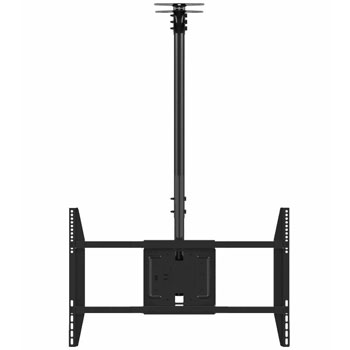 T66